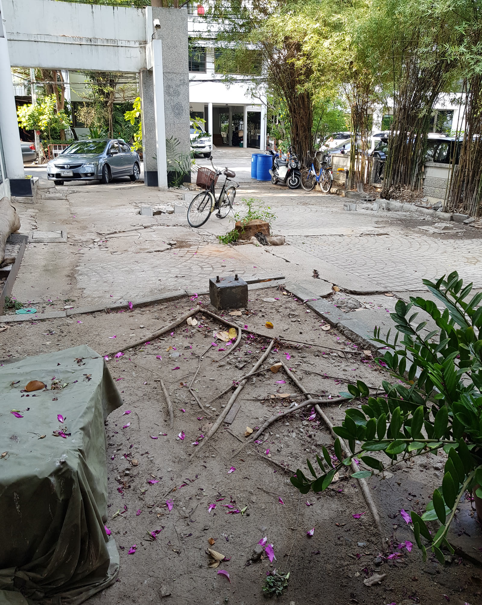 M Space ทาวน์อินทาวน์ — ภาพหน้างาน 3